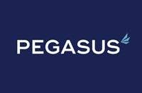 Pegasus Marine finance